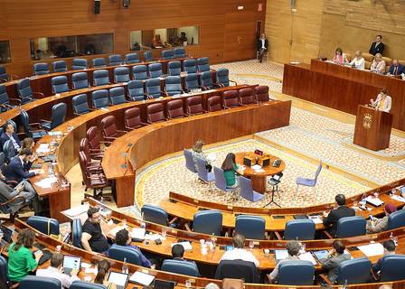 La Asamblea de Madrid a vista de pájaro: análisis de la XI legislatura
