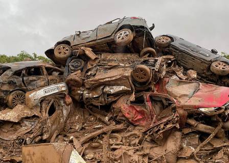 La inteligencia colectiva salva vidas